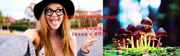 стафф Алексеевка